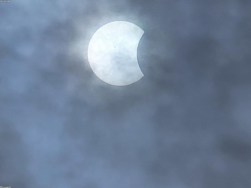 ការប្រកួត និង ការស្នាក់នៅ: បទពិសោធន៍ដែលប្រព្រឹត្តទៅនៅកម្ពុជា