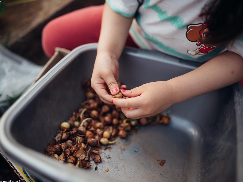 អាជីពនិងការងារ: ជម្រើសនិងវឌ្ឍនភាព
